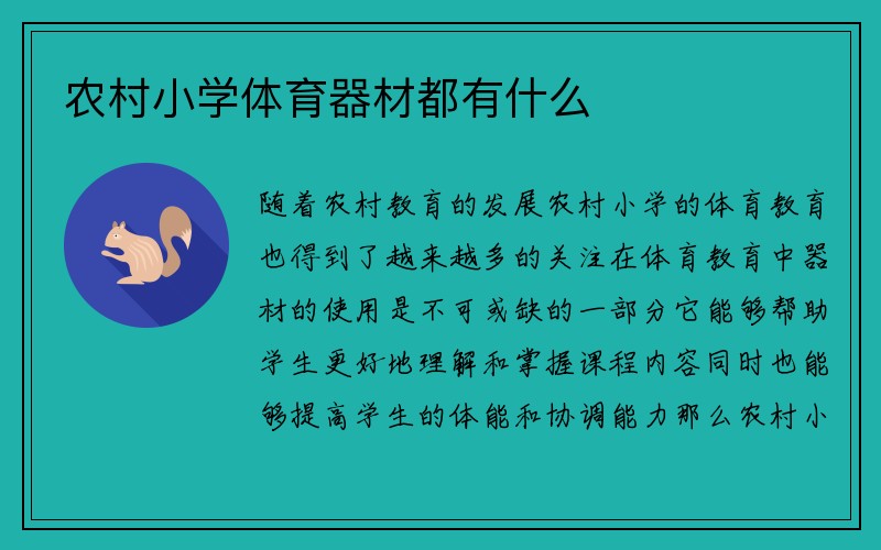 农村小学体育器材都有什么